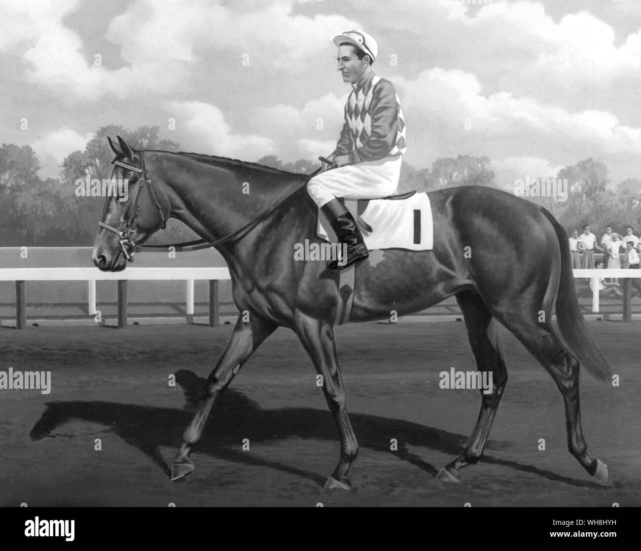 Native Dancer (1950) was a great-great-grandson by Polynesian of Phalaris. his dam Geisha was a granddaughter of Display (by Fair Play). The blood is American to an exceptional degree, which may explain the success of his get, as an outcross, at stud in Europe. He first ran and won at Jamaica on 19th April 1952. he was always odds-on thereafter. he won the rest of his eight races as a two-year-old and all but one of his total of 22. The History of Horse Racing by Roger Longrigg, page 282. Stock Photo