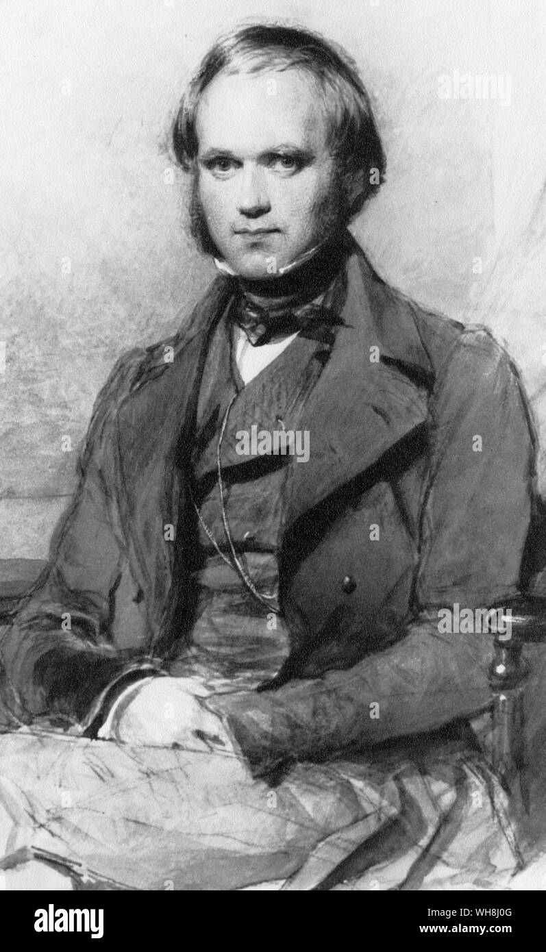 Charles Darwin in 1840. Watercolour by George Richmond (1809 -1896). Charles Robert Darwin was a British naturalist who achieved lasting fame as the originator of the theory of evolution through natural selection. Darwin's five-year voyage on the Beagle brought him eminence as a geologist and fame as a popular author. His biological observations led him to study the transmutation of species and develop his theory of natural selection in 1838. His 1859 book, The Origin of Species by Means of Natural Selection, or The Preservation of Favoured Races in the Struggle for Life, established Stock Photo