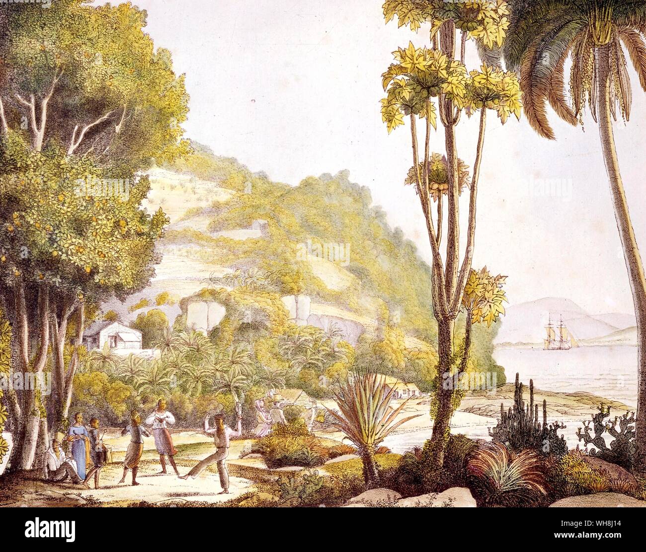 A view of the coat of Brazil from Darwin and the Beagle by Alan Moorhead, page 53.. On her second voyage, on December 27, 1831, the HMS Beagle left Plymouth harbour on what was to become a groundbreaking scientific expedition. After completing extensive surveys in South America she returned via New Zealand to Falmouth, Cornwall, England on 2 October 1836.. . . Stock Photo