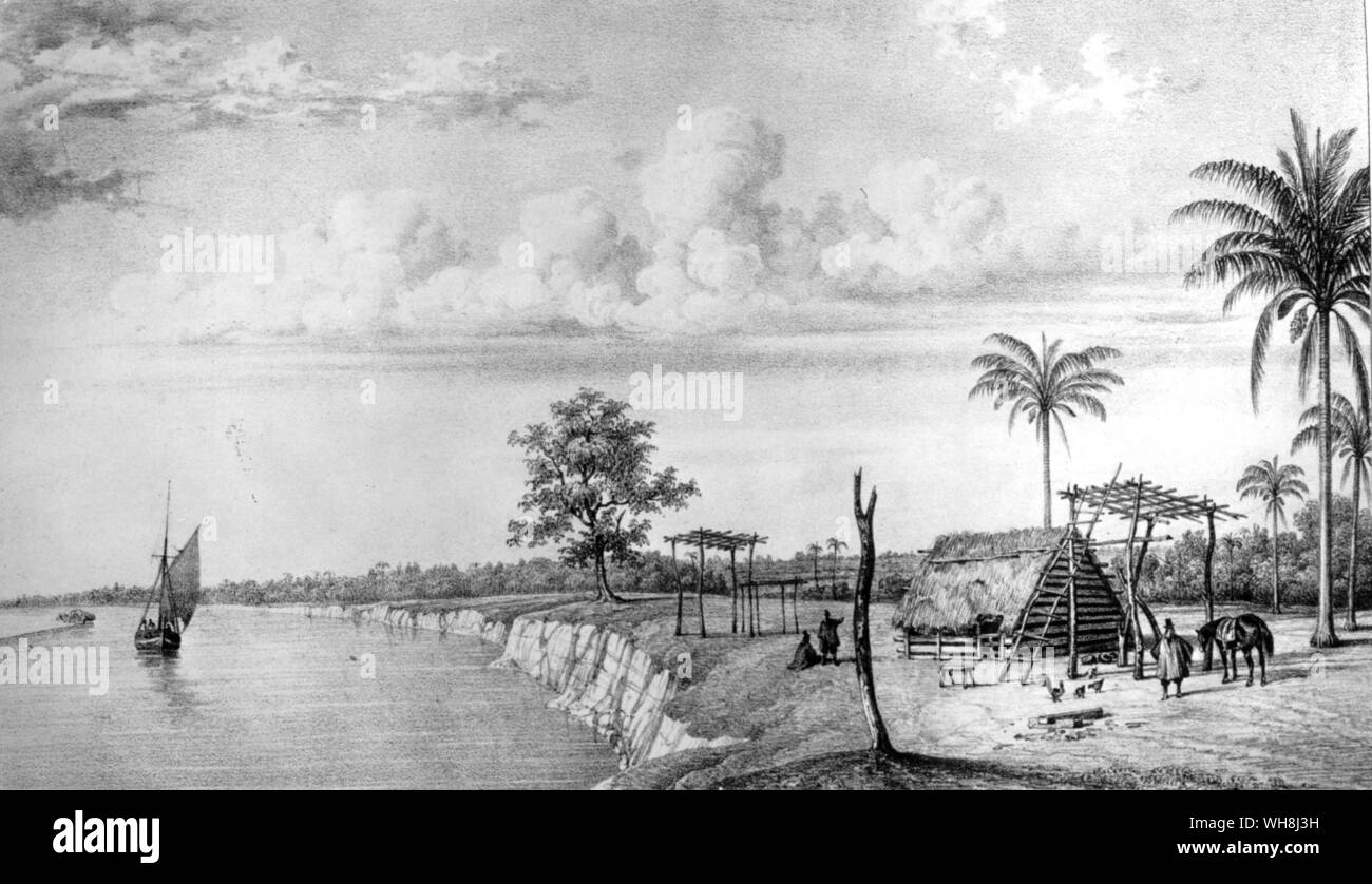 Village on the Parana river. When Darwin arrived near the mouth of the Parana River on 20 October 1833 he went on shore and found out that a revolution had broken out at Buenos Aires. This made further travel on the river impossible so the next day he proceeded overland and with some difficulty made it to Buenos Aires. Darwin and the Beagle by Alan Moorhead, page 130. Stock Photo