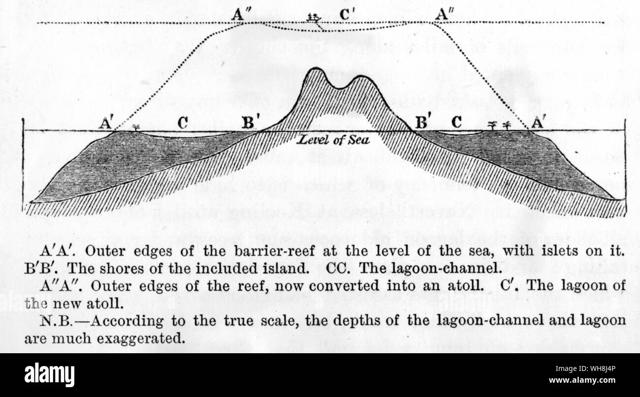 The three stages of coral development illustrated by section drawings of the same island. As the island subsides, the fringing reef builds up into a barrier reef and then becomes an atoll as the land itself sinks below sea level. Darwin and the Beagle by Alan Moorhead, page 237. Stock Photo