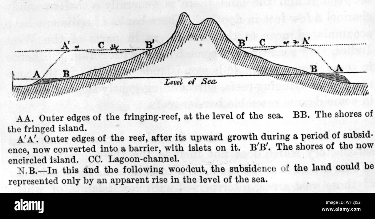The three stages of coral development illustrated by section drawings of the same island. As the island subsides, the fringing reef builds up into a barrier reef and then becomes an atoll as the land itself sinks below sea level. Darwin and the Beagle by Alan Moorhead, page 236. Stock Photo