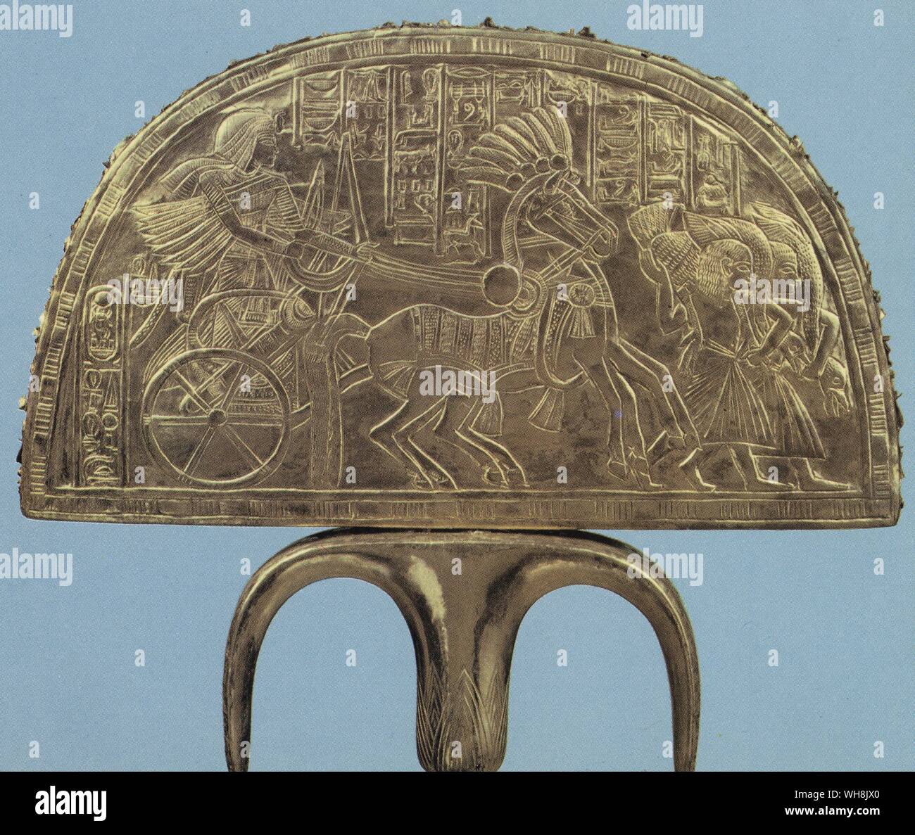 Ostrich fan egypt hires stock photography and images Alamy