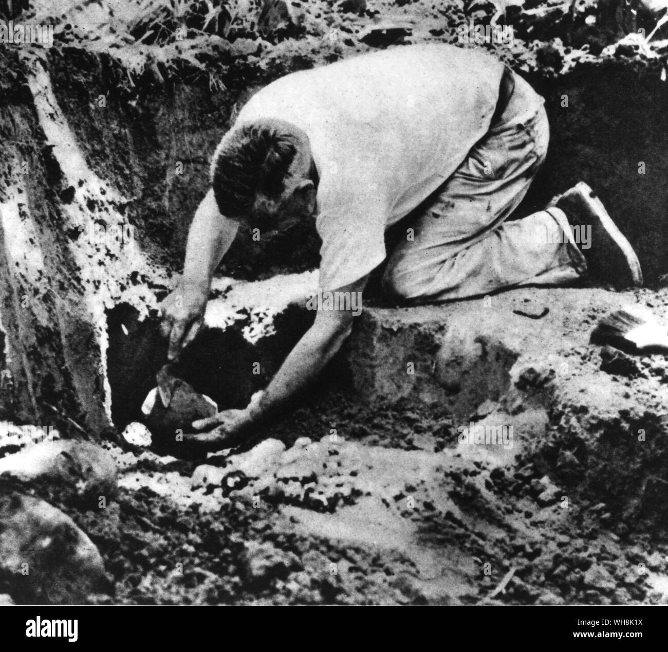 Dr Lothrop examing pottery below level of store spheres Costa Rica  1955 Stock Photo