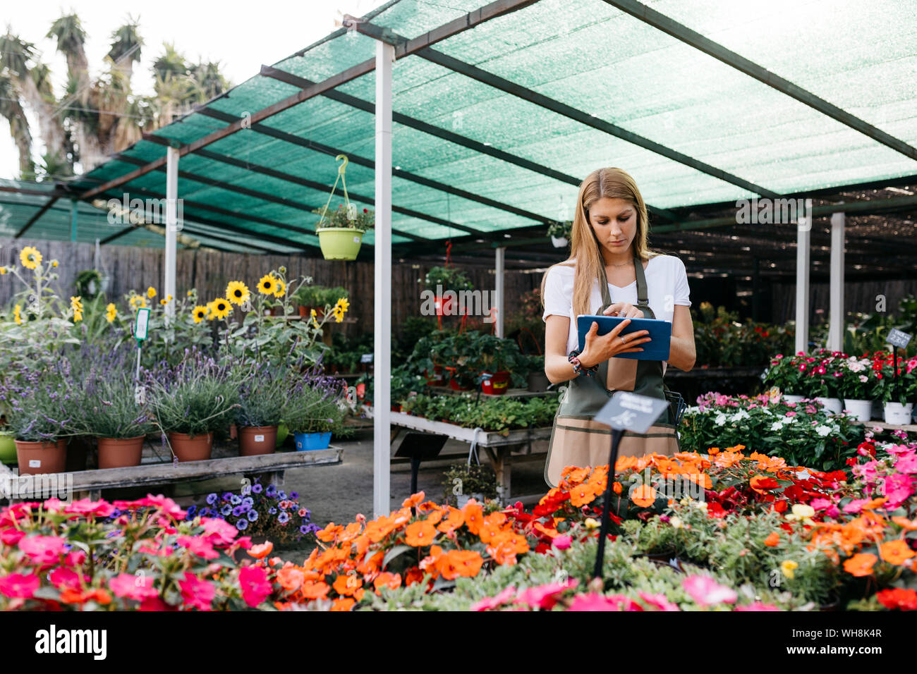 Female worker in a garden center using a tablet Stock Photo
