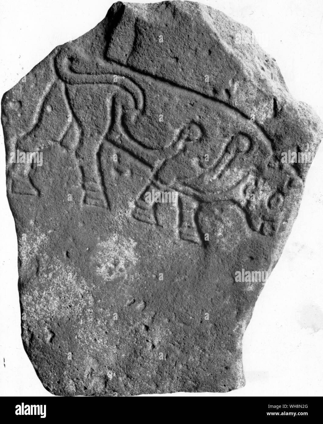 Pictish incised stonework. Relief work Stock Photo