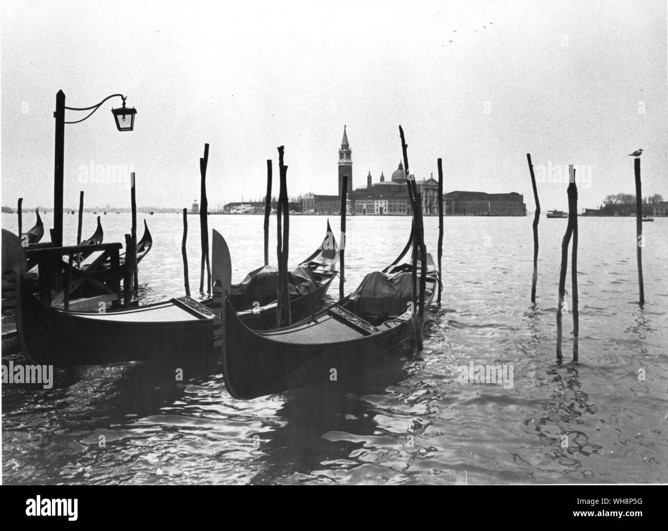 Gondolas of Venice Italy Stock Photo