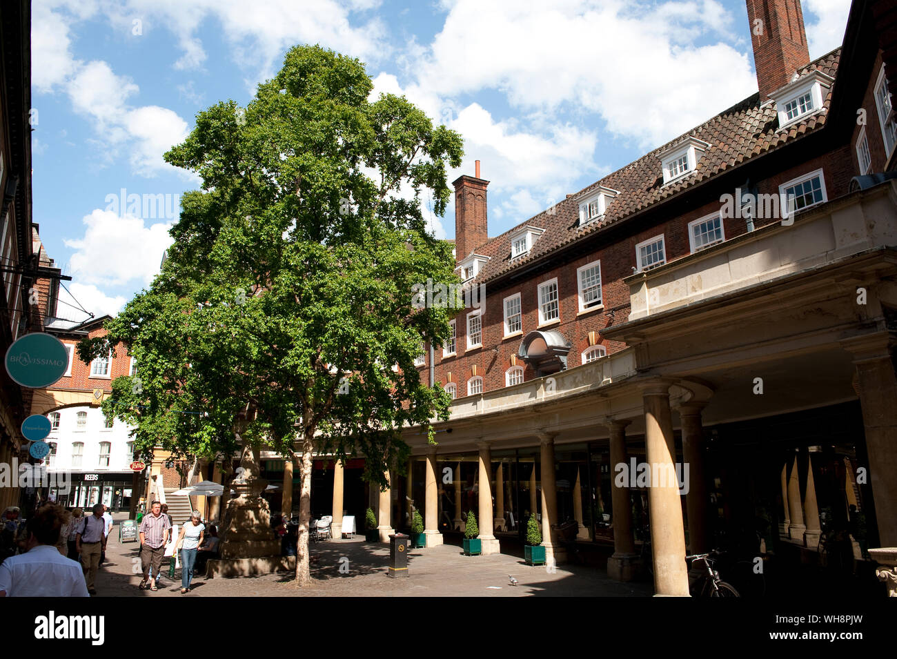 Shops and Harrington House in Sussex Street, Cambridge, England. Stock Photo