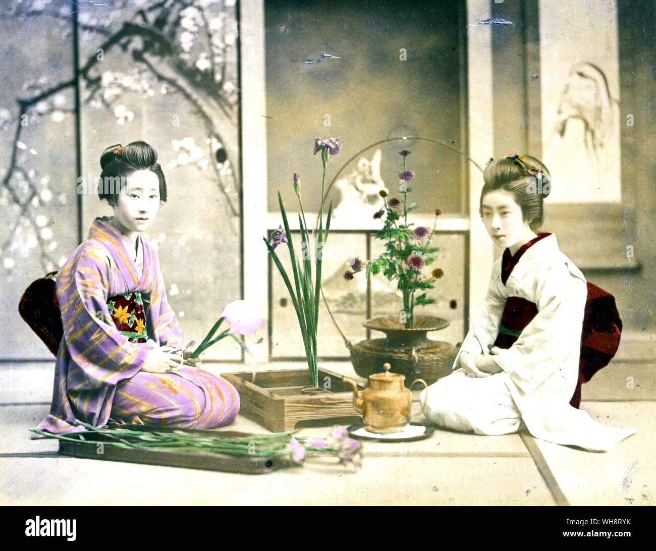Two Japanese girls arranging flowers. 1904 Stock Photo