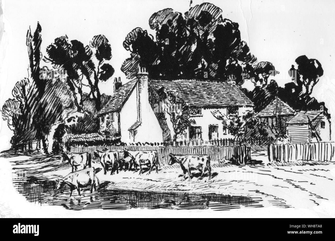 Slinger High Resolution Stock Photography and Images Alamy