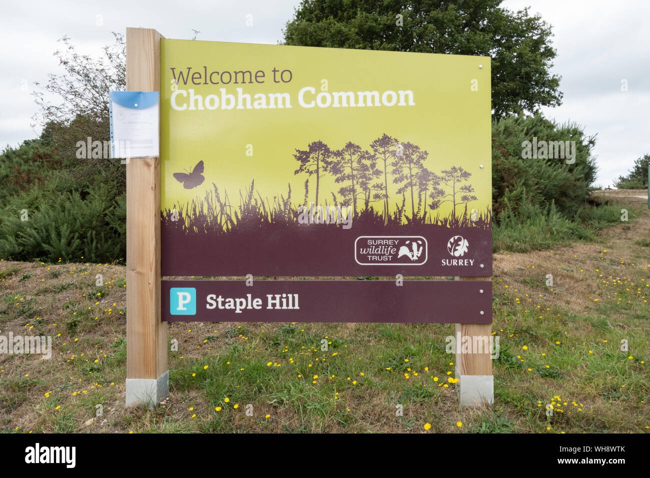 Chobham Common welcome sign, an area of lowland heath and a National Nature Reserve, Surrey, UK Stock Photo