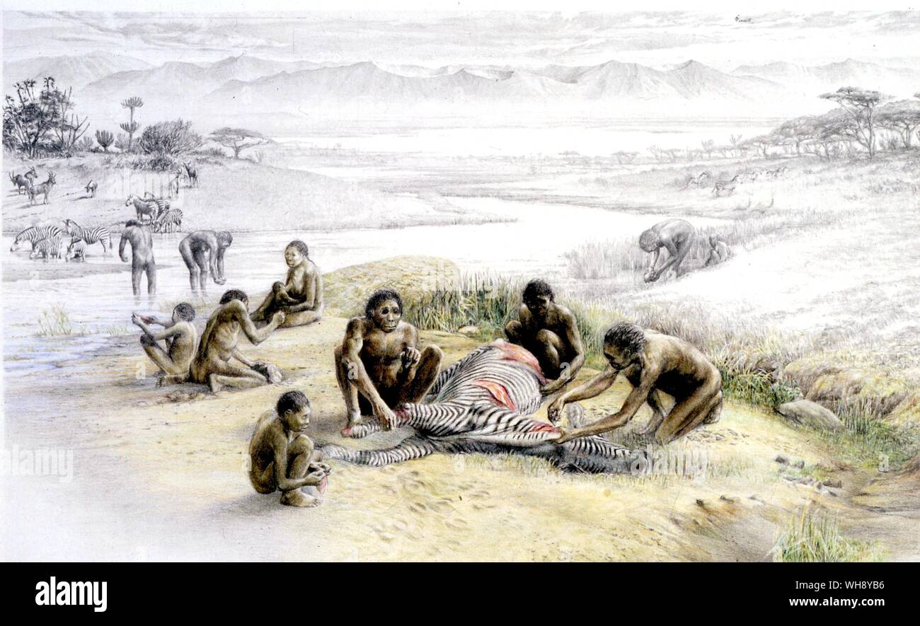 An impression of life in a campsite occupied by Homo Habilis Stock Photo