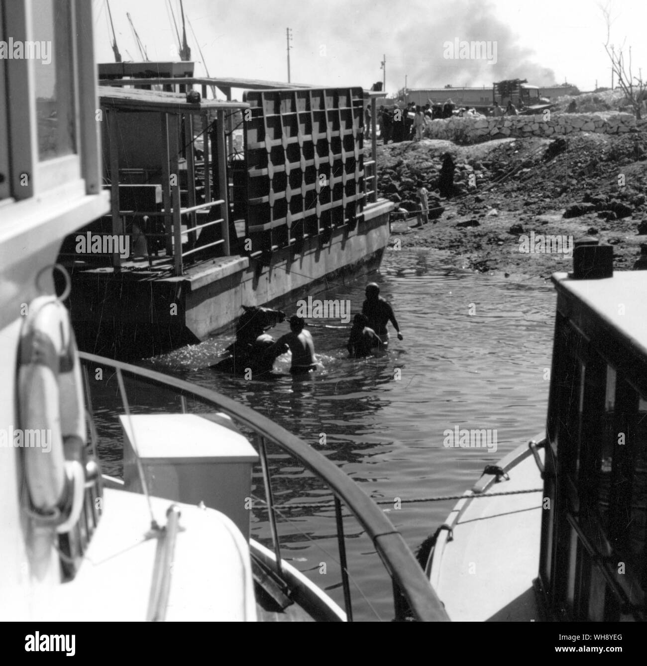 The Caleche drivers had brought there wretched horses down to the water to clean them. It is impossible to wonder whether the horses were acquiring new diseases or merely exchanging old ones'. Egypt. Stock Photo