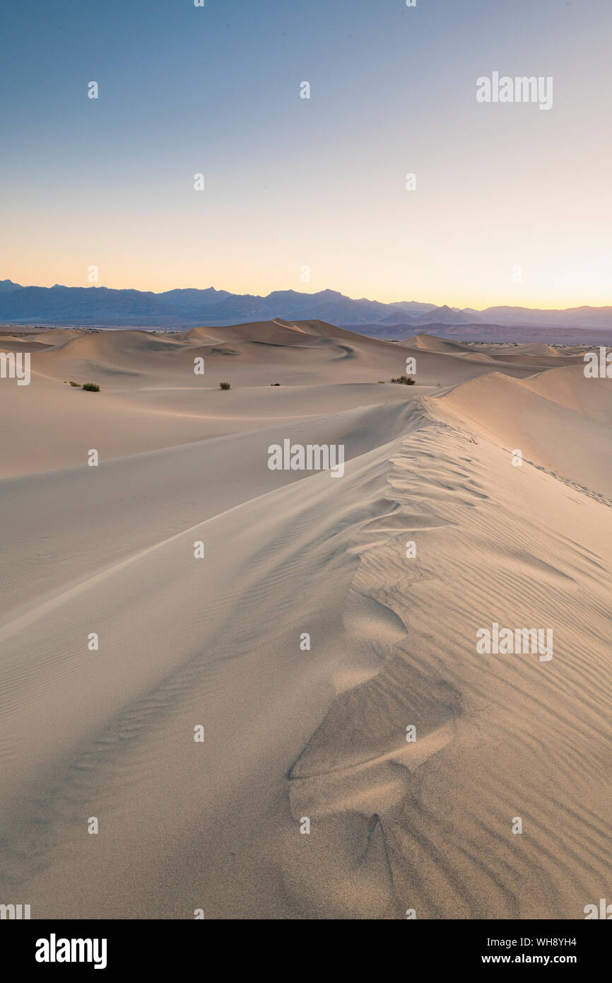 Mesquite flat sand dunes in Death Valley National Park, California, United States of America, North America Stock Photo