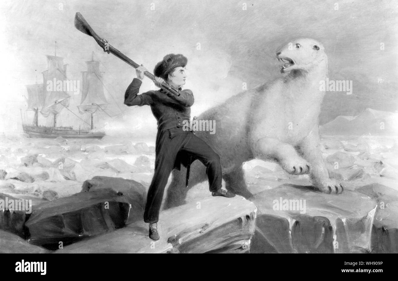 At the age of 14, Horatio Nelson went on an unsuccessful Arctic expedition to find the Northeast Passage. His attempt to acquire a polar bear skin for his father also failed when his musket misfired. He was only saved from an early death by a signal shot from his ship, which scared the bear off.. Stock Photo