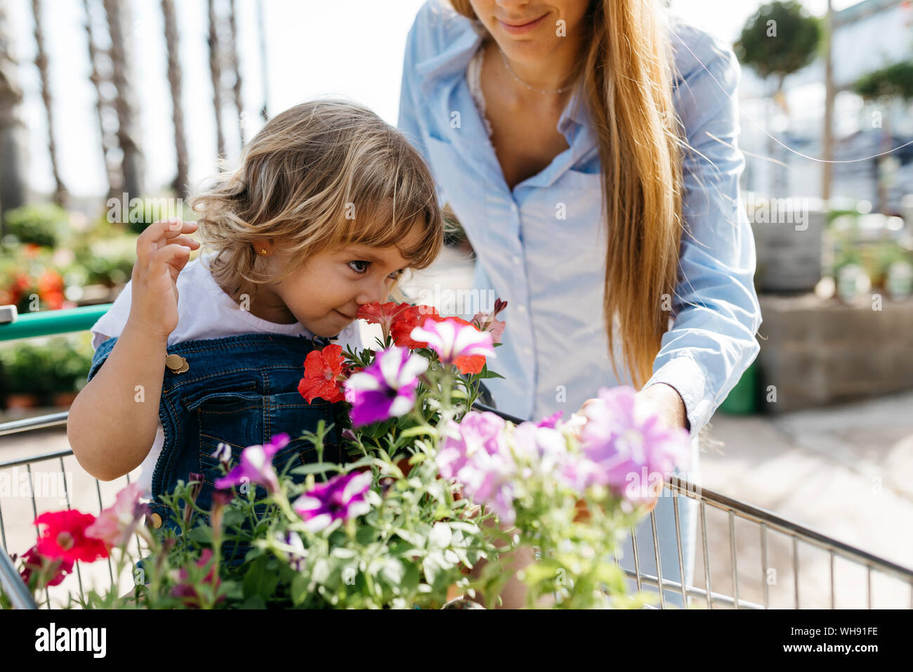 Girl in shopping cart in a garden center smelling at flower Stock Photo