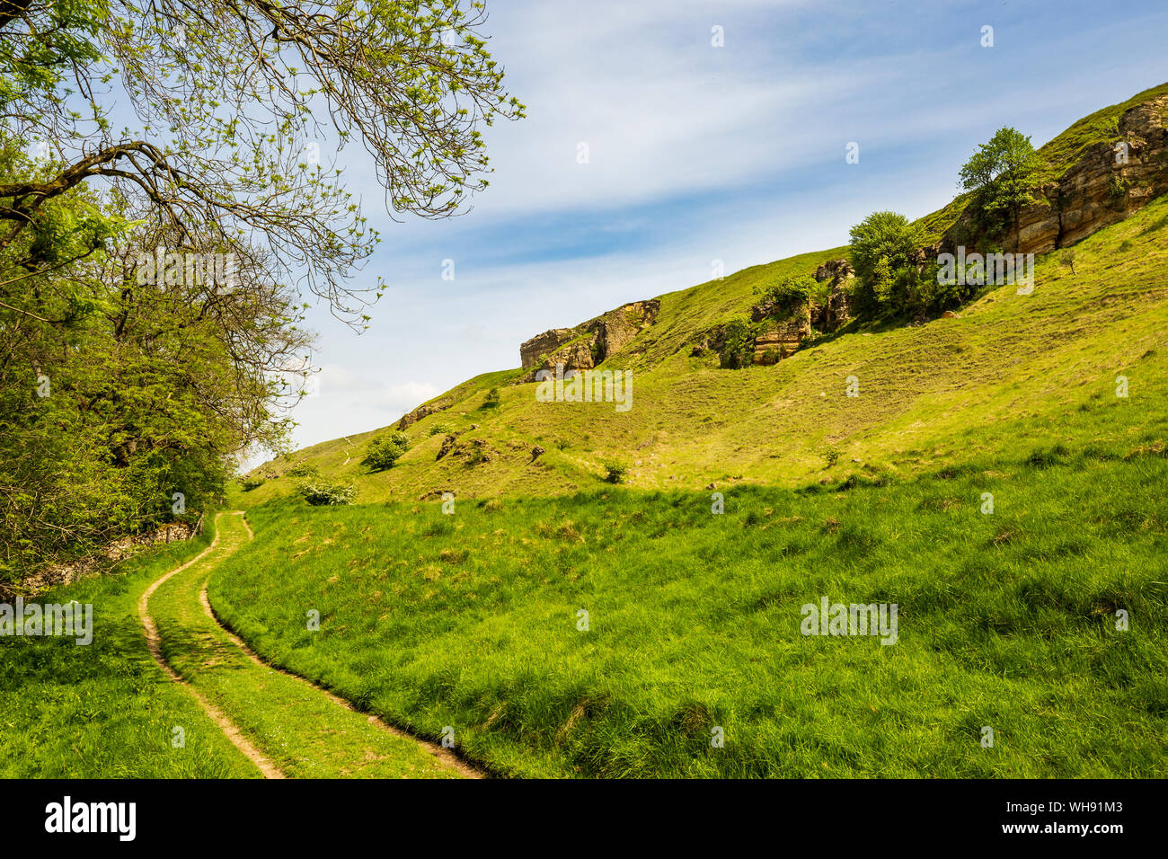 The Cleeve Hill escarpment near Cheltenham Spa, England Stock Photo