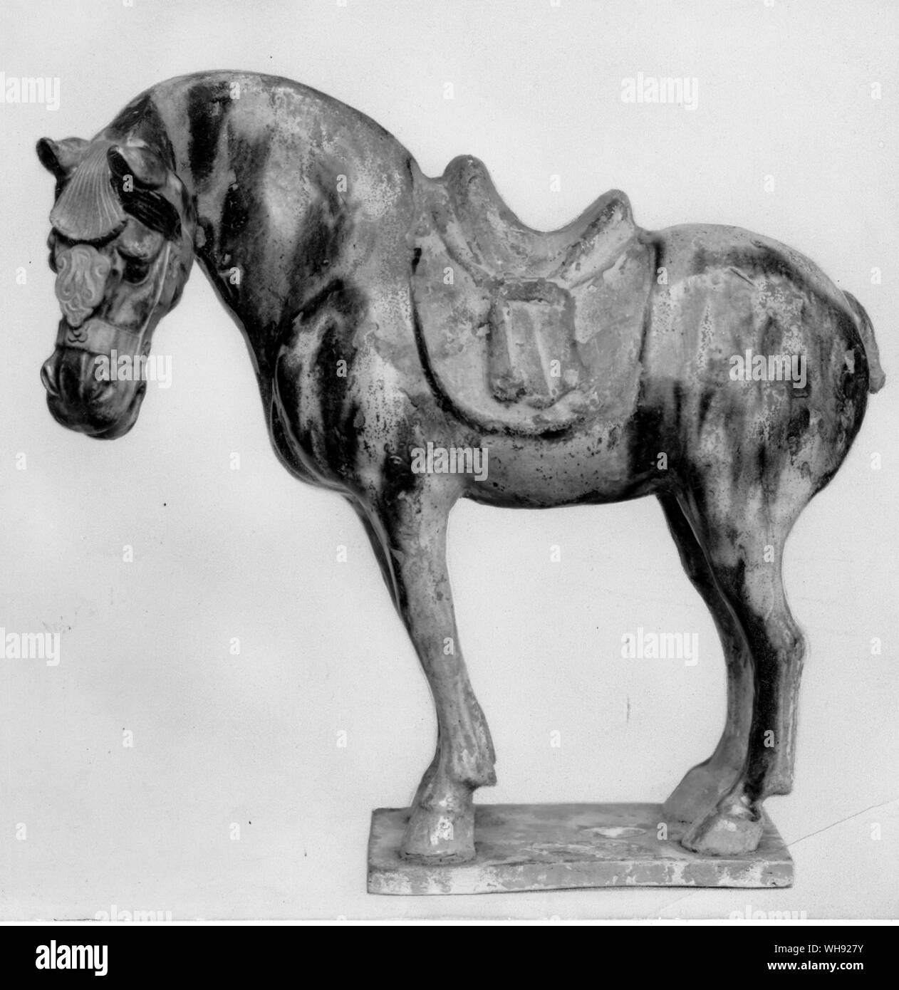Chinese, Horse T'ang Dynasty, 618-906 AD Stock Photo