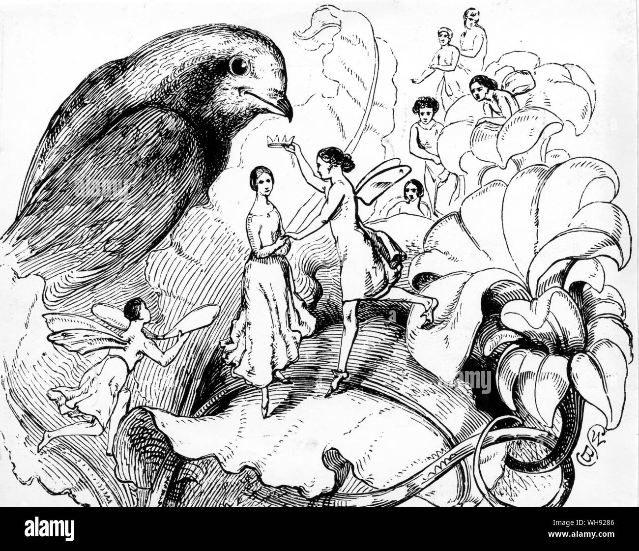 Thumbelina hires stock photography and images Alamy