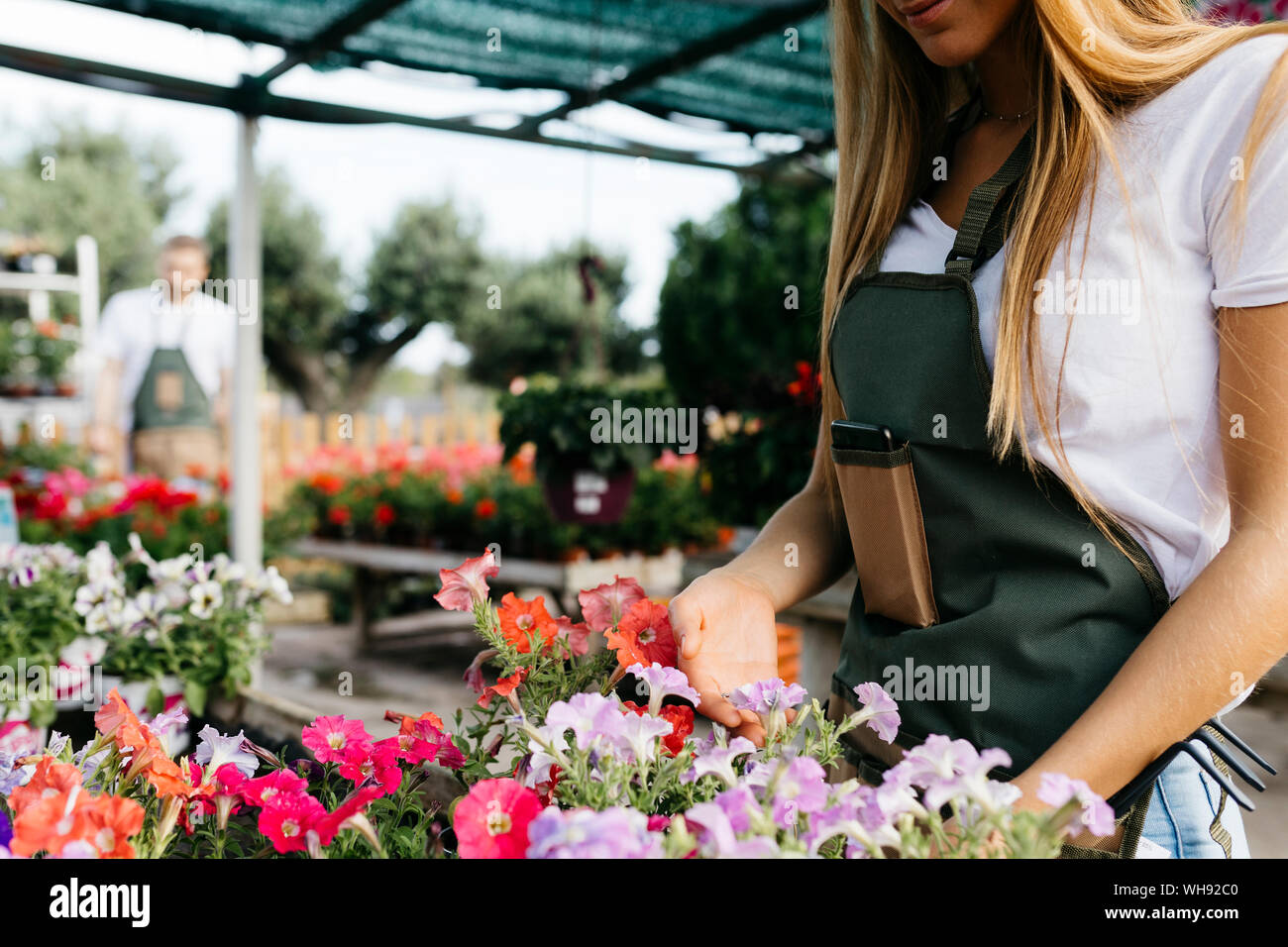 Close-up of female worker in a garden center caring for flowers Stock Photo
