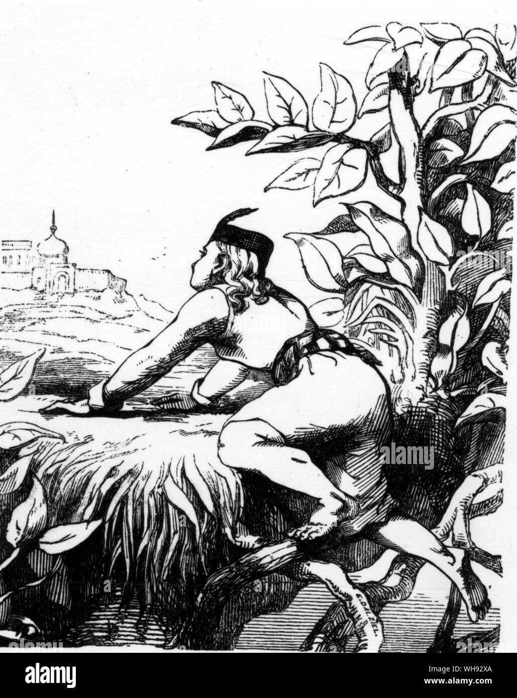 Jack and the Beanstalk. Wood engraving by E dalziel after C W Cope for the 'Lively History of Jack and the Beanstalk'.. Stock Photo