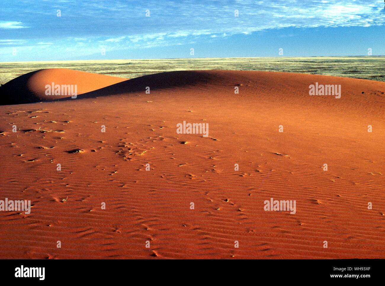 The great red sand dunes of the Simpson Desert Stock Photo