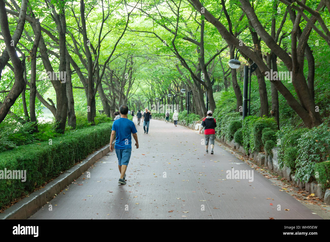 Seokchon lake park in summer season, Jamsil, Songpa-gu, Seoul city. Stock Photo