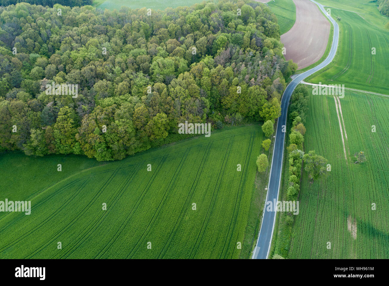 Aerial view of rural road with agricultural fields and forest ...
