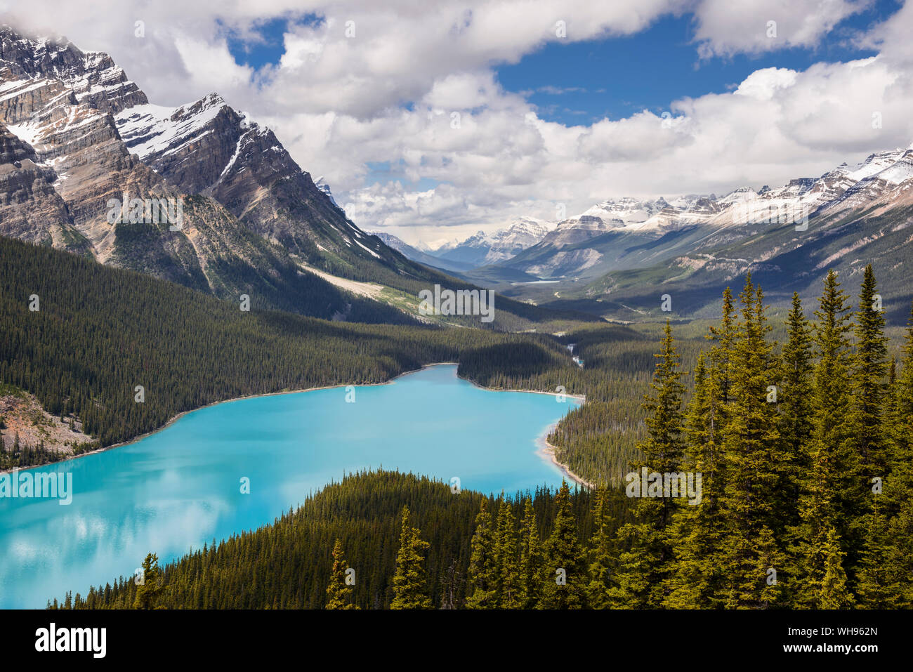 Peyto Lake, Banff National Park, UNESCO World Heritage Site, Alberta, Canada, North America Stock Photo