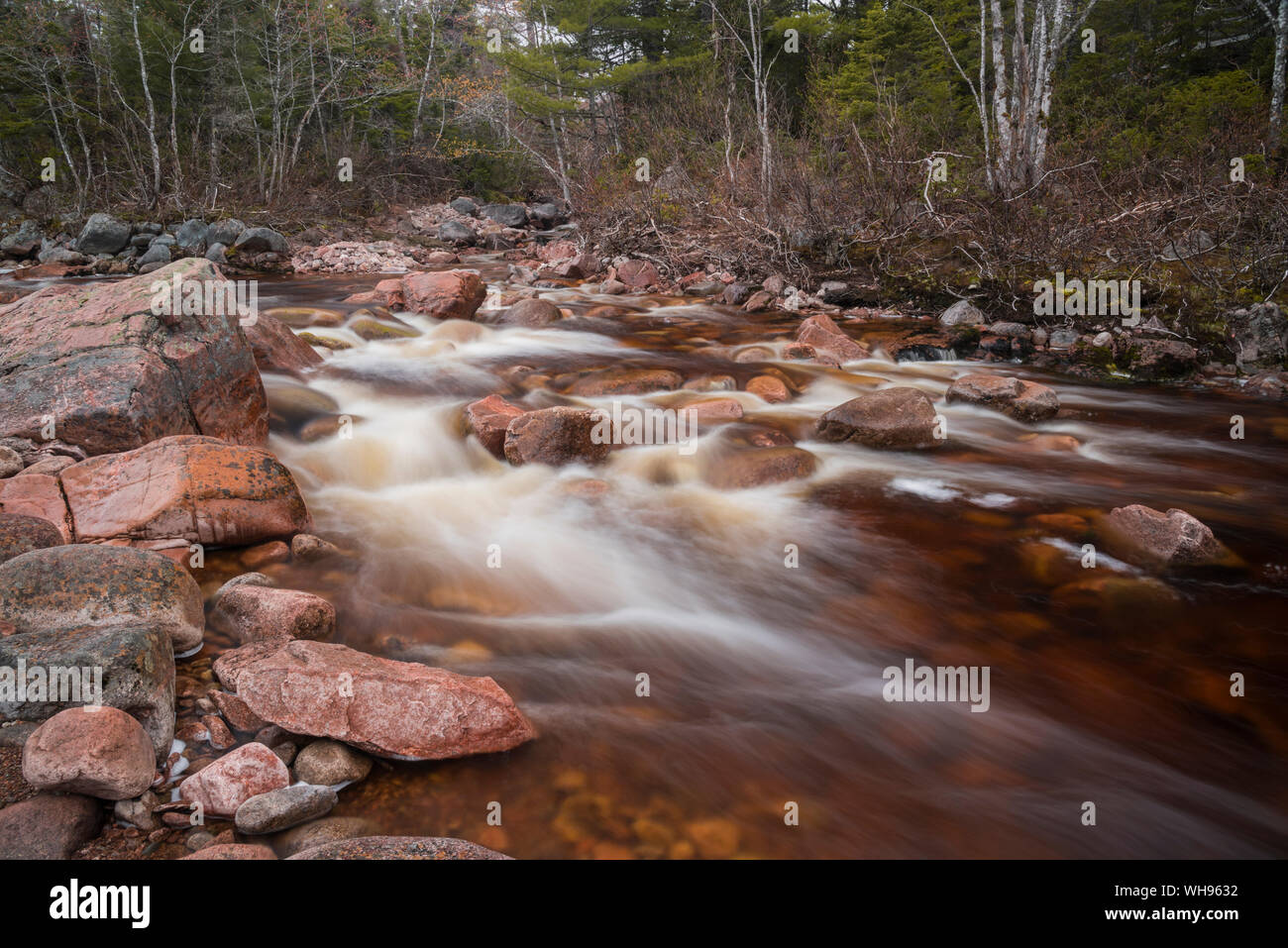Creek flowing near Mary Ann Falls, Cape Breton Highlands National Park, Nova Scotia, Canada, North America Stock Photo