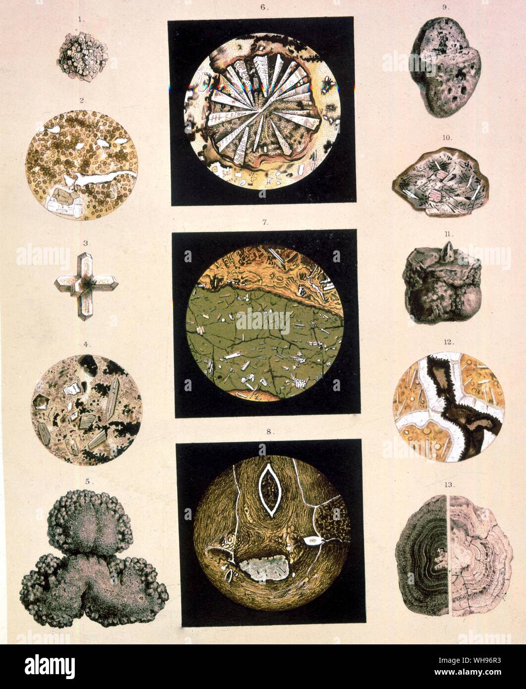 Minerals from the South Pacific. #s 5,9,10,11 and 13 are manganese nodules, #11 containing a shark's tooth and #8 is a microscopic detail of manganese. #s 1,3 adn 12 show philipsite crystals and #s 2,4,6, and 7 are of volcanic origin, dredged from the sea's bottom. Stock Photo