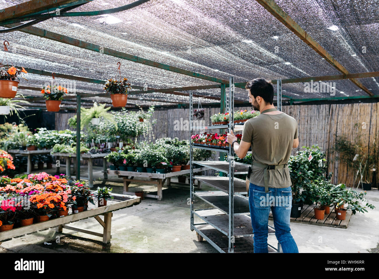 Worker in a garden center pushing a cart with plants Stock Photo