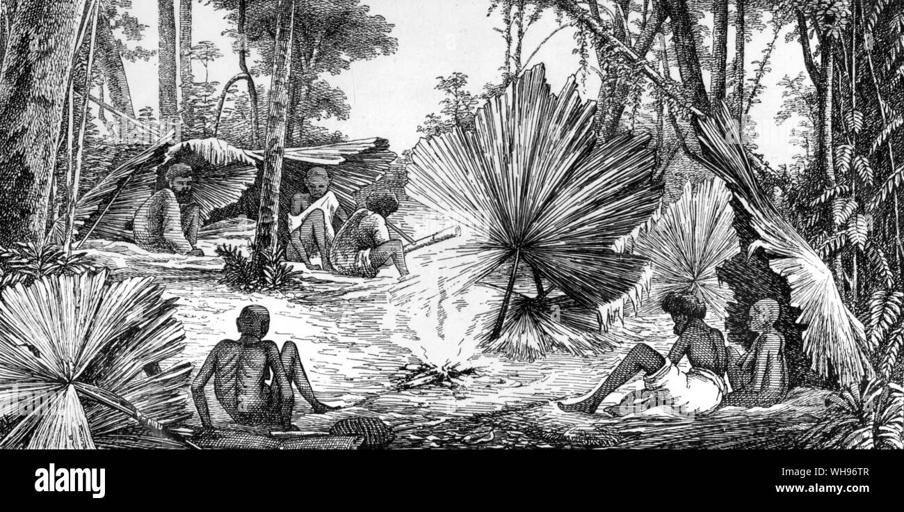 Cape York, Australia. Mr J J Wild's drawing of the Aborigine camp near Somerset. He was struck by their condition, 'occupying the lowest step on the ladder of civilisation... a palm leaf for their only dwelling.' Stock Photo