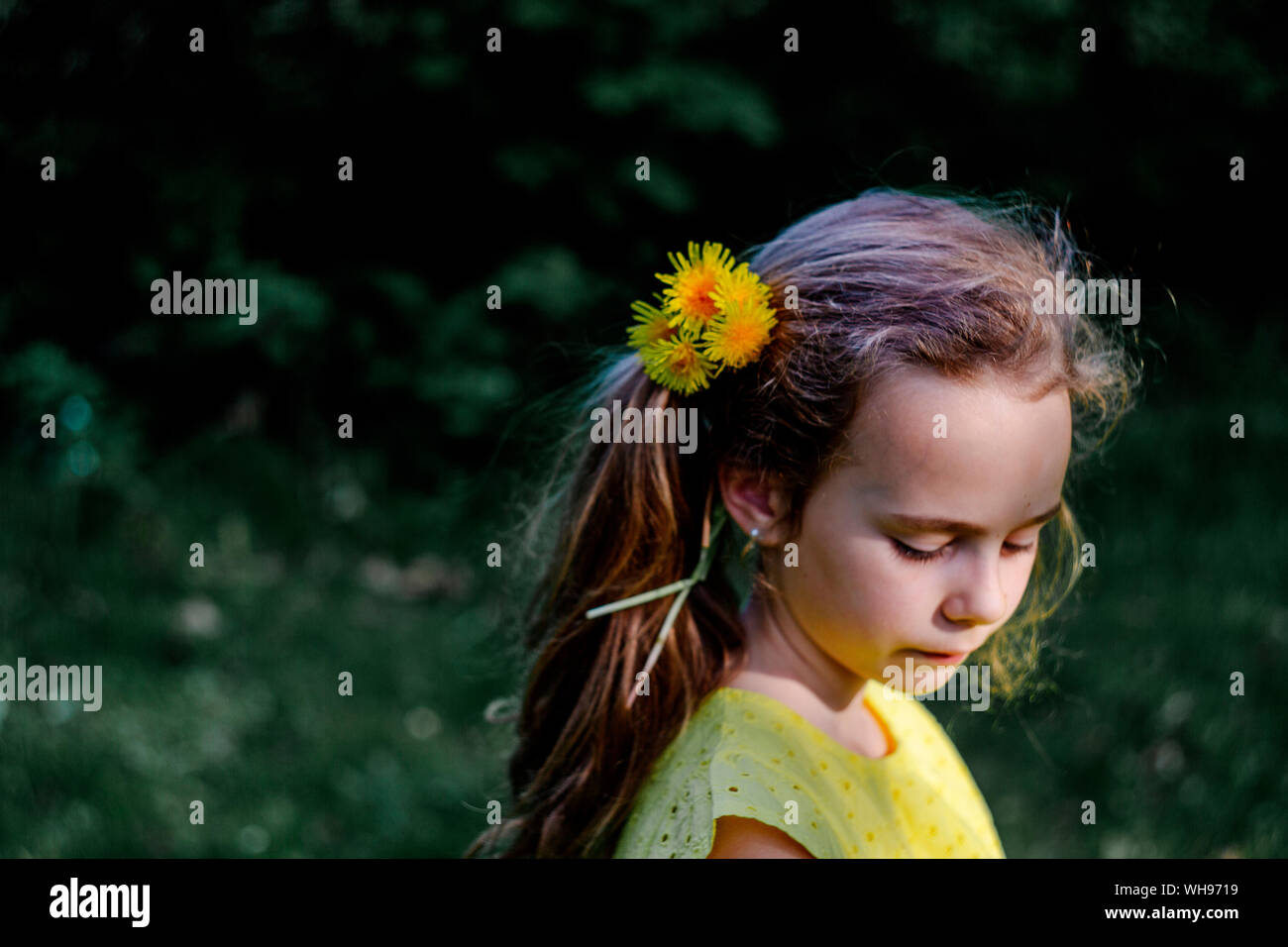 Little girl wearing dandelions in her hair Stock Photo