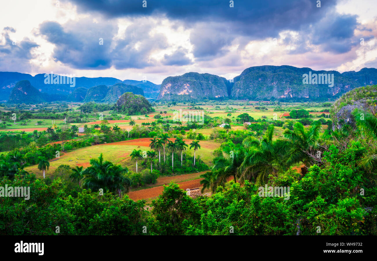 View of Vinales Valley at sunset, UNESCO World Heritage Site, Pinar del Rio Province, Cuba, West Indies, Caribbean, Central America Stock Photo