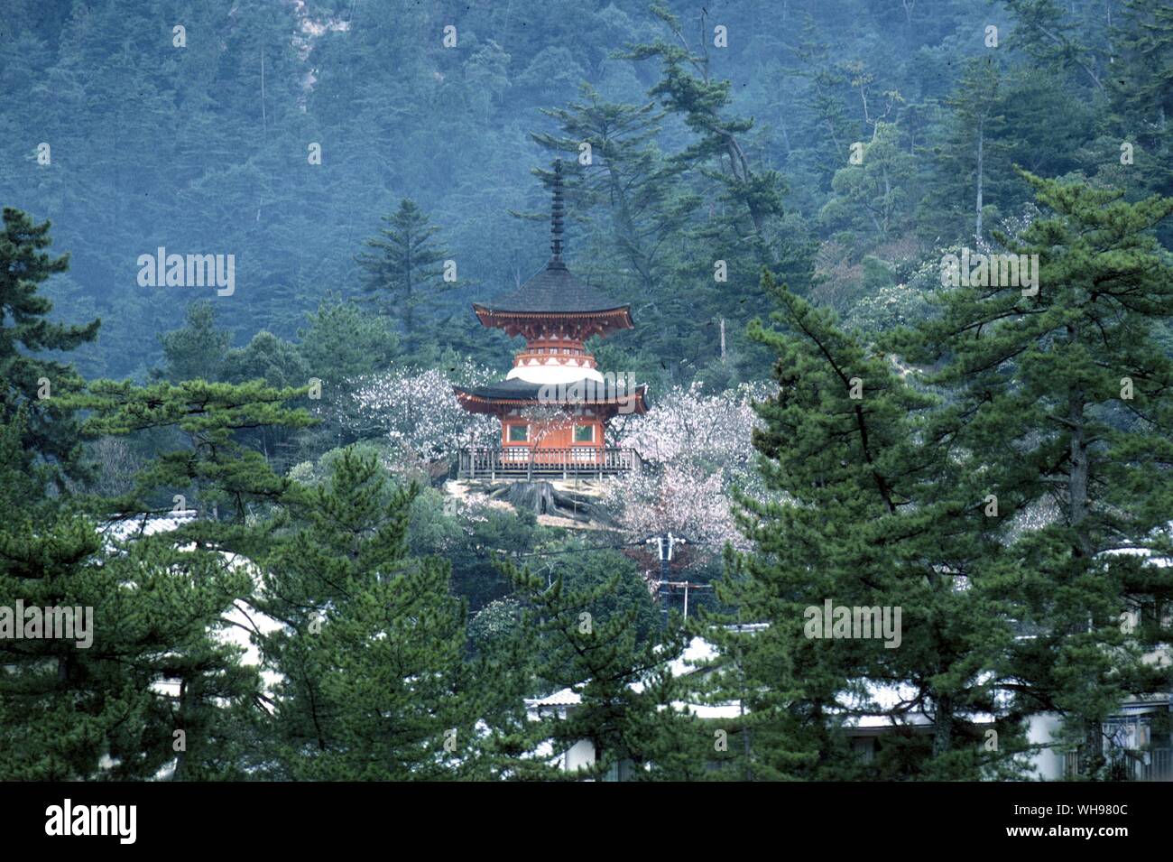 Buddhist Pagoda stands in the forest  above the Itsukushima shrine at Miyaijima Stock Photo