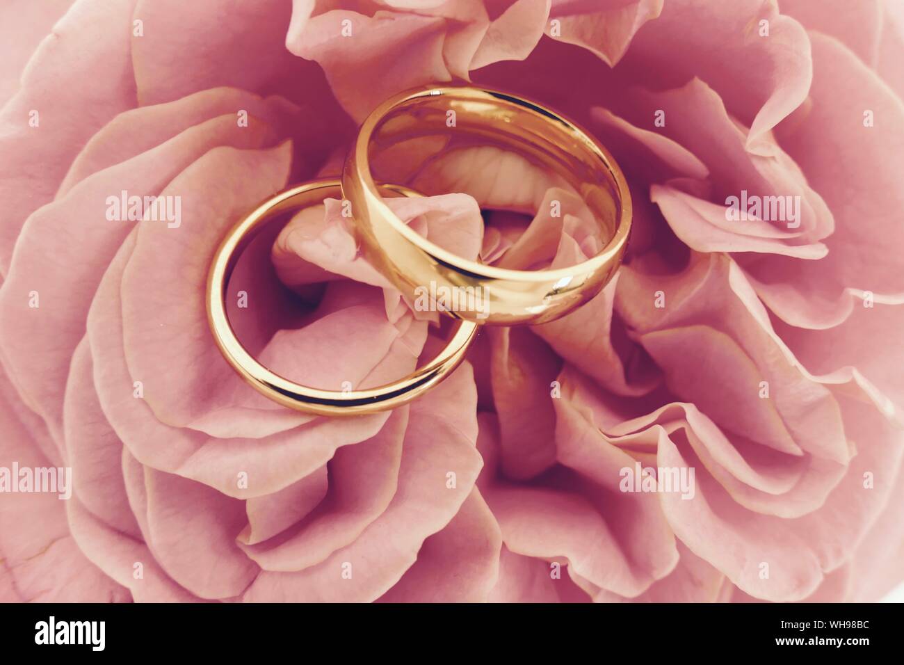 High Angle View Of Engagement Rings On Rose Stock Photo