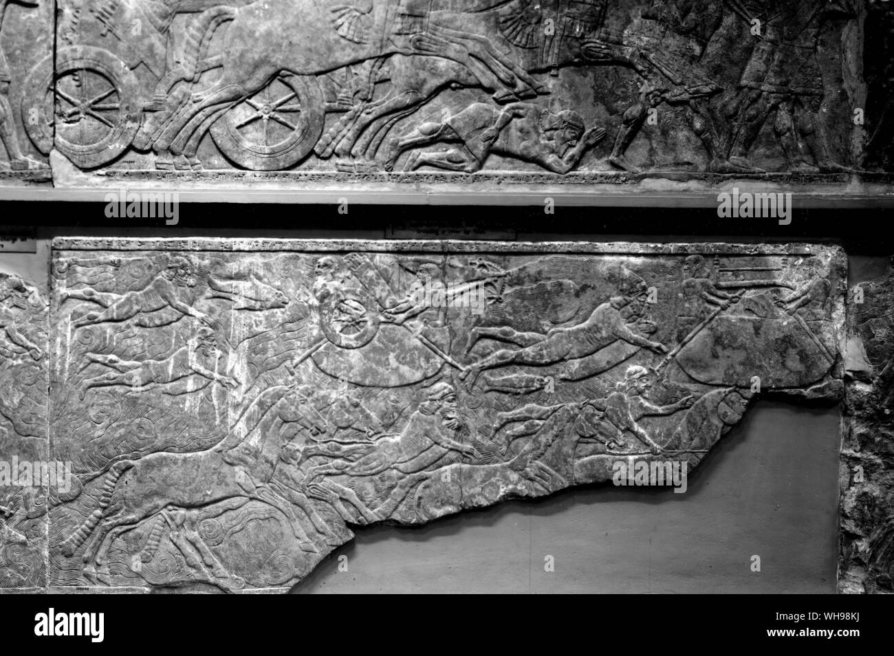 Warfare/ Fording a river with dismantled chariots. relief from Ashurnasirpal II's palace. 883-859 B.C. Stock Photo