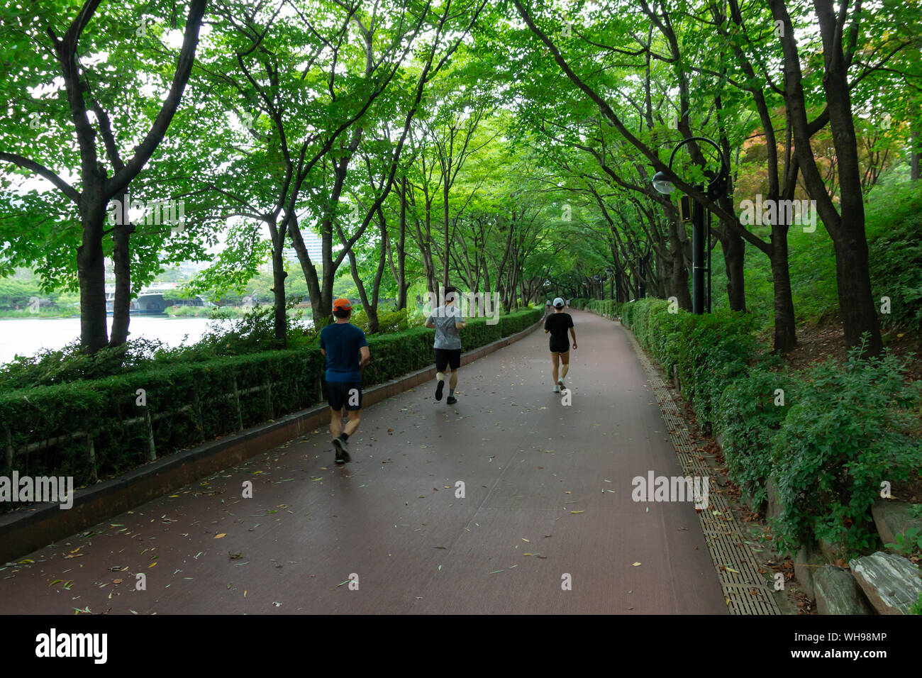 Seokchon lake park in summer season, Jamsil, Songpa-gu, Seoul city. Stock Photo