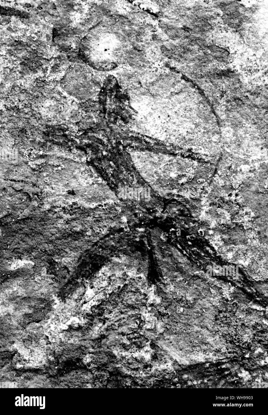 War paintings Black and White Stock Photos & Images - Alamy