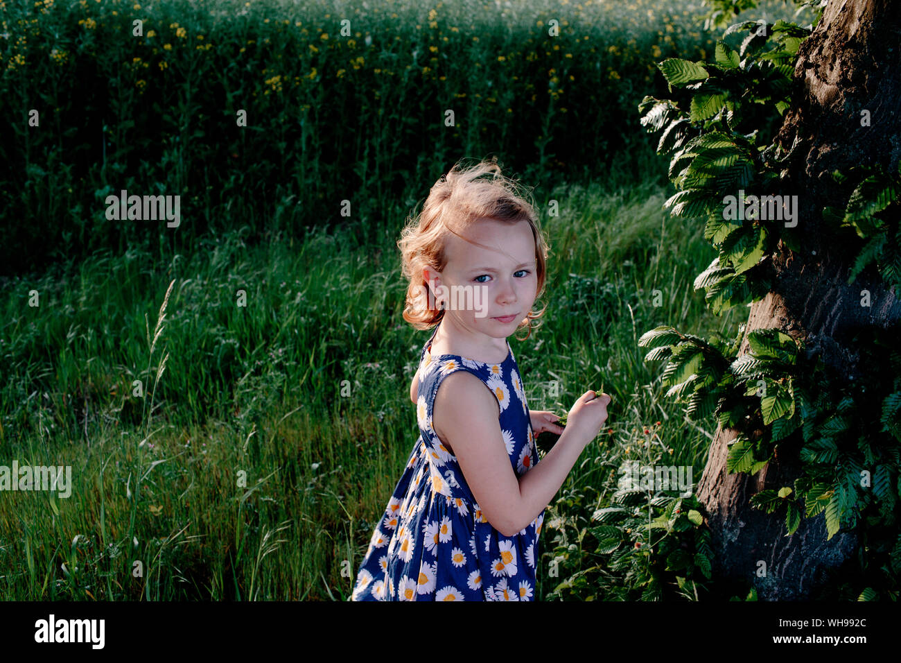Portrait of  little girl in nature Stock Photo