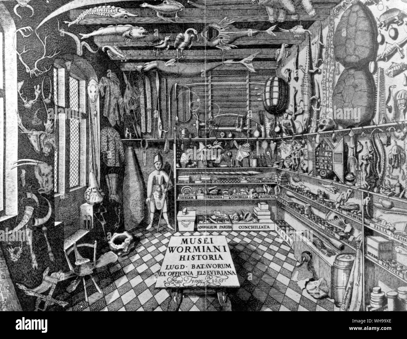 The Cabinet of Curiosities belonging to Ole Worm, at Leyden, 1588-1666.  A typical mixture of curiosities. Stock Photo