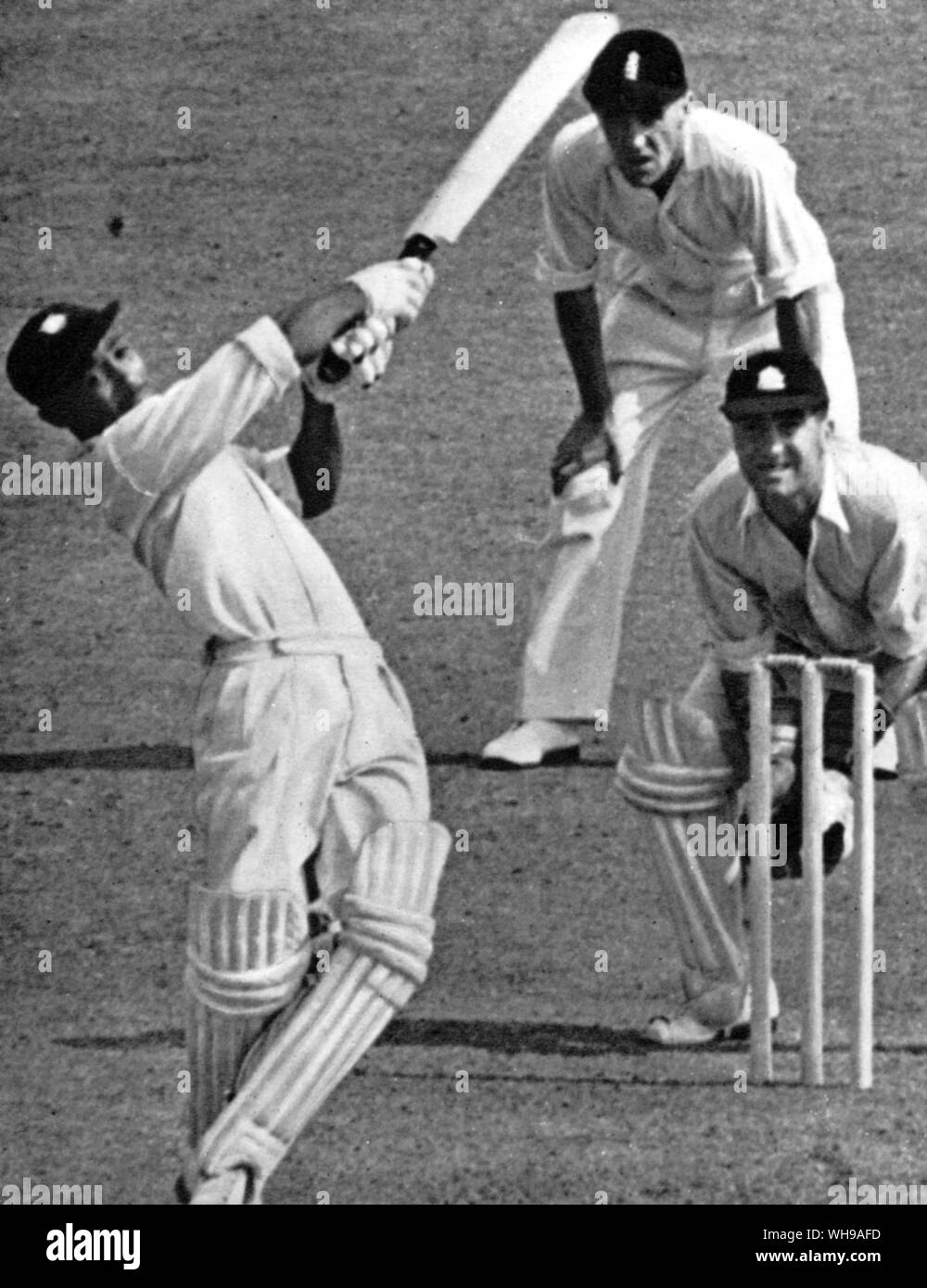 Frankie hires stock photography and images Alamy