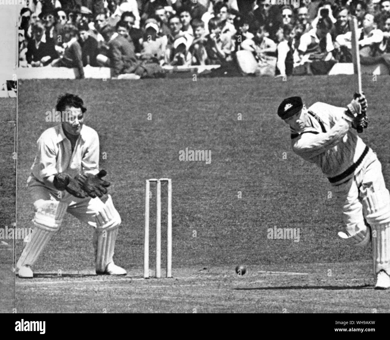 Sir Don G Bradman batting against Essex at Southend in 1948. Peter Smith is the bowler and F Rist is keeping wicket Stock Photo