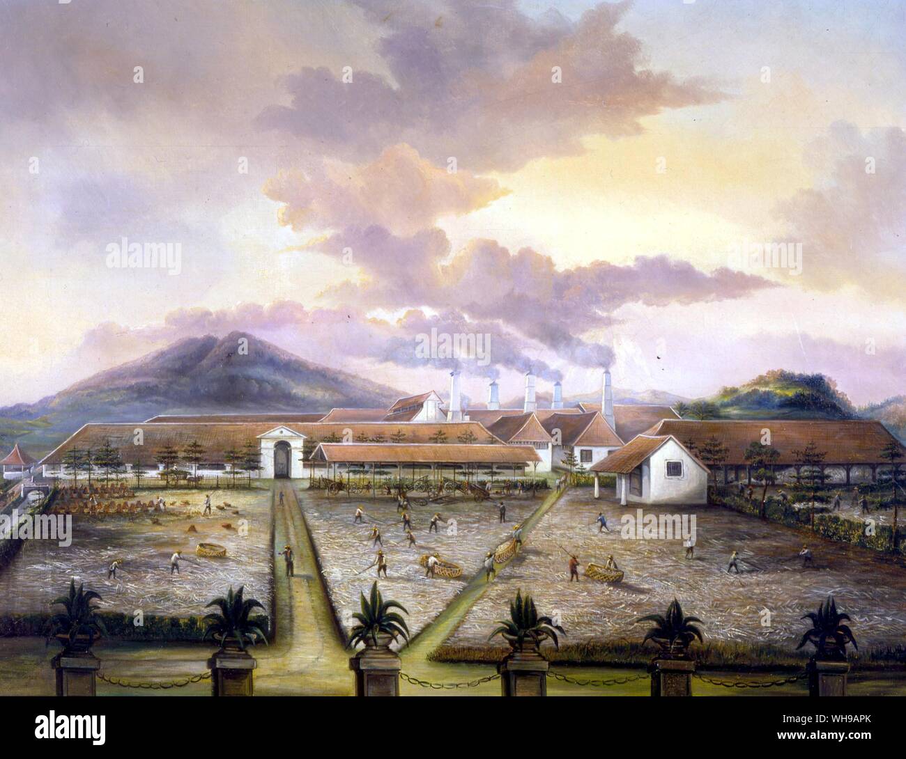 Sugar Plantation on the south of Trinidad 1850 Stock Photo Alamy