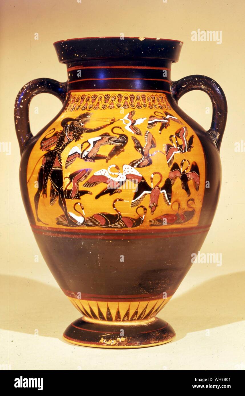 Archaeology Greece  Greek painted pottery Amphora showing Heracles slaying stymphalian birds Stock Photo