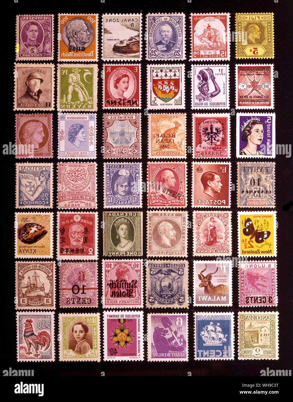 Front jacket (assorted ?) Stock Photo