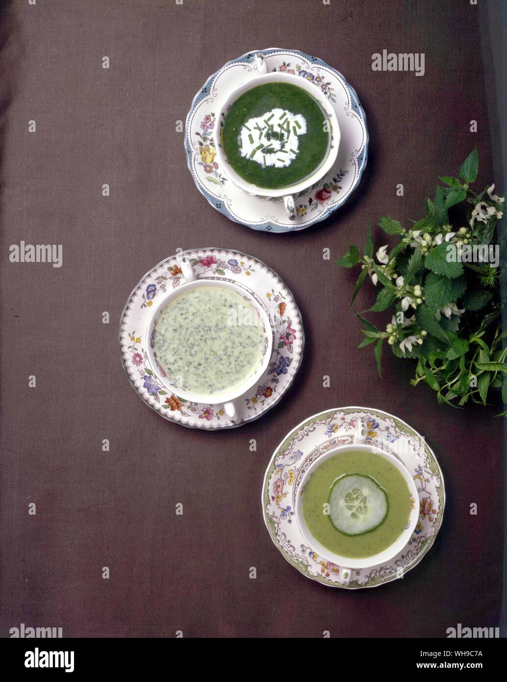 Spinach Soup, Green Spring Soup, Pea and Cucumber Soup Stock Photo