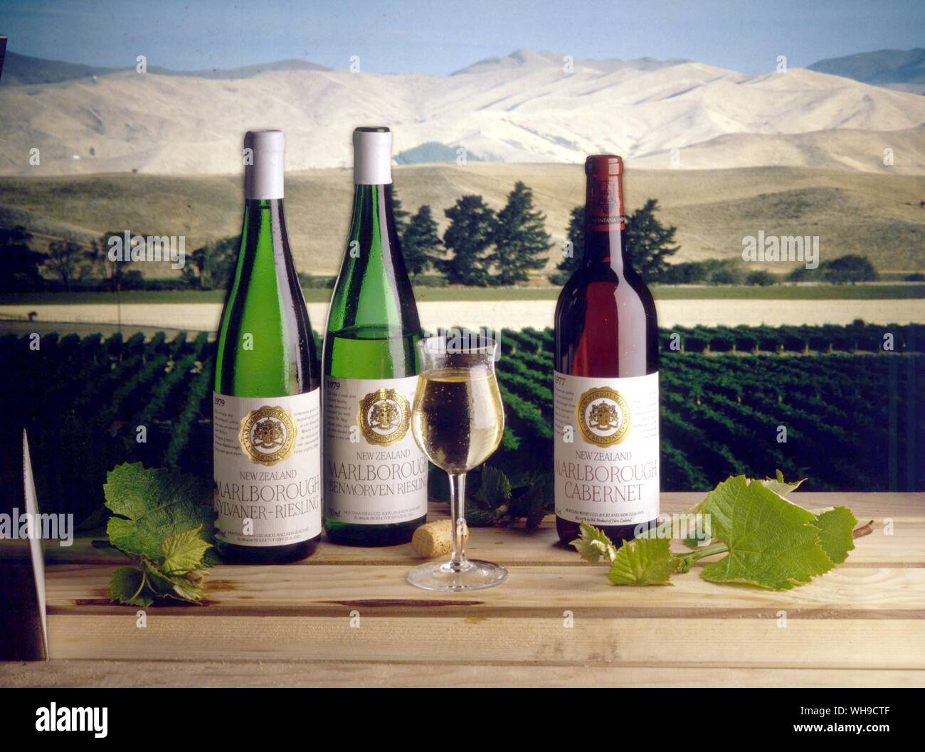 Wines from New Zealand Stock Photo
