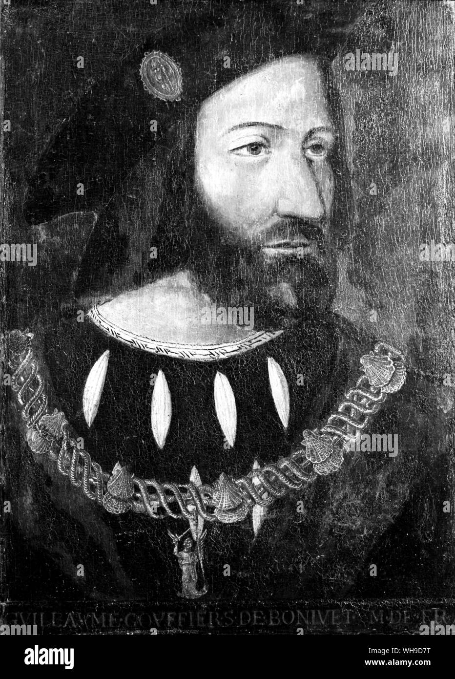 Guillaume de Bonnivet Stock Photo Alamy